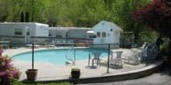 Adult Pool