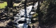 Webb Creek