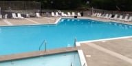 Family Pool